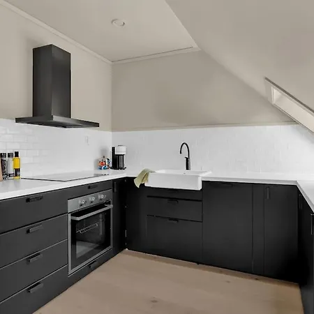 Luxurious Penthouse In The Middle Of City Center Daire